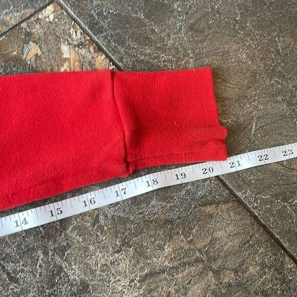 Vintage Wisconsin Badgers Bucky Hoodie Large and reservable  Wis Badgers scarf - Picture 11 of 16